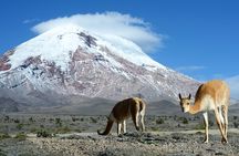 Full-Day Hiking Experience of Chimborazo Volcano with Lunch