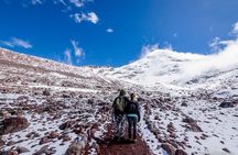 Full-Day Hiking Experience of Chimborazo Volcano with Lunch