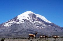 Full-Day Hiking Experience of Chimborazo Volcano with Lunch