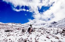 Full-Day Hiking Experience of Chimborazo Volcano with Lunch