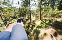 Zipline Adventure Tour