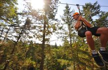 Zipline Adventure Tour