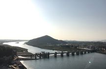 Half-Day Inuyama Castle and Town Tour with Guide