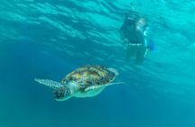 Luxury Sailing & Snorkeling Experience from Riviera Maya