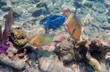 Private Looe Key Snorkel from Big Pine Key