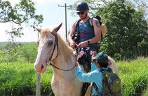 Jungle farm ride 