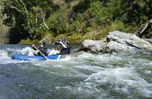 The Hobbit Barrel Run Rafting Tour on the Pelorus River