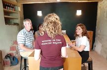 EBike tour with organic wine tasting