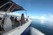 Small Day Cruise (Ilet caret, mangrove, coral reef