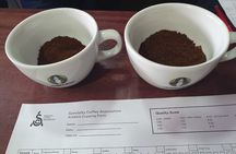 Best Coffee brewing workshop in AVOEDEN cafe 