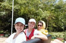 1-Day Angkor Temple Small Group Day Tour 