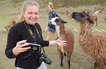 Cochasqui Pyramids, Rose Plantation and Equator Line Day Tour