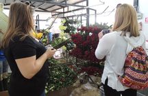 Cochasqui Pyramids, Rose Plantation and Equator Line Day Tour