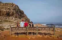 Cape of Good Hope Private Tour to Cape Point & Penguins From Cape Town