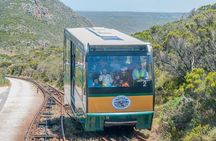 Sea Kayak and Cape Point Private Tour from Cape Town