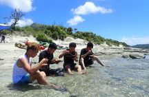 1day kayak tour in Kerama Islands and Zamami Island