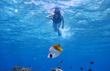1day kayak tour in Kerama Islands and Zamami Island