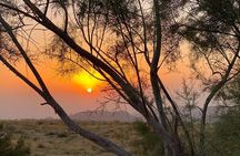 8-Day Vacation in Jordan Private Tour