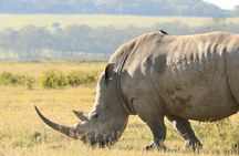 3-Day Safari in Serengeti & Ngorongoro(Mid-range)