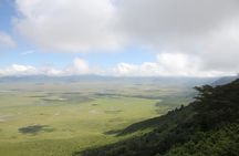 2-Day Safari Tour to Tarangire & Ngorongoro Crater (Mid-range)