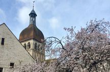 Private guided tour - Beaune 2h