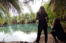 Private Full-Day Materuni Waterfall, Coffee and Hot-spring Tour in Moshi