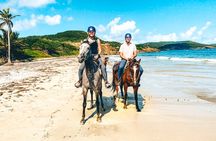Private Beach Picnic Horseback Ride with Sandy Hoofs St. Lucia