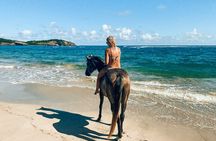 Private Beach Picnic Horseback Ride with Sandy Hoofs St. Lucia