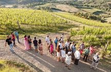 Vino Nobile di Montepulciano Wine Tour - Meet the producers