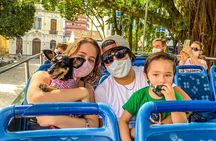 Floripa City Tour by Bus - Whole Island - The Most Complete City Tour