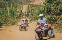 Beach ATV Adventure + Free Horseback Ride + Sky Bike Experience