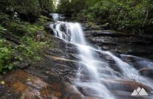 Bartram Trail Hike plus Wine Tasting