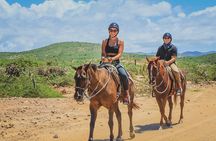 Beach ATV Adventure + Free Horseback Ride + Sky Bike Experience
