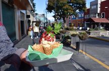 Atlixco and Atlimeyaya (private tour)