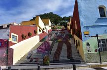 Atlixco and Atlimeyaya (private tour)