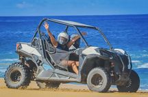 Beach & Desert UTV Tour in Cabo 