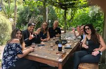 Full-Day Wine Tasting Tour in Auckland with 3-Course Vineyard Lunch