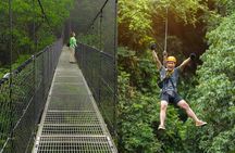 Congo Combo: Thrilling Hanging Bridges and Zipline Adventure