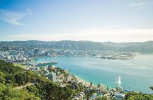 15-Minute Wellington Harbour Helicopter Flight