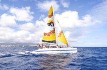 Sea Turtles and Snorkeling Experience in Kona