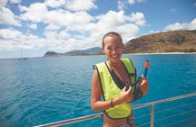 Sea Turtles and Snorkeling Experience in Kona