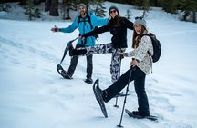 Half Day Snowshoe Hike in Tahoe National Forest