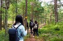 Archipelago Excursion from Helsinki with Lunch and Transportation
