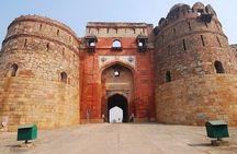 One Day New Delhi Custom Guided Sightseeing Trip by Cab