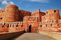 Guided Tour of Taj - Agra Fort & Wildlife SOS on Jaipur To Delhi Transfer