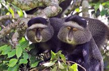 1 Day: Arusha National Park