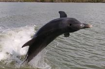 Small-Group Everglades Boating Kayaking and Walking Eco Tour