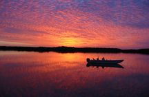 Everglades National Park Small Group Guided Boating and Walking Expedition 