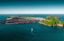 Puffin and Volcano Tour with Ebbi