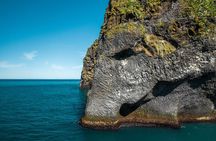 Puffin and Volcano Tour with Ebbi